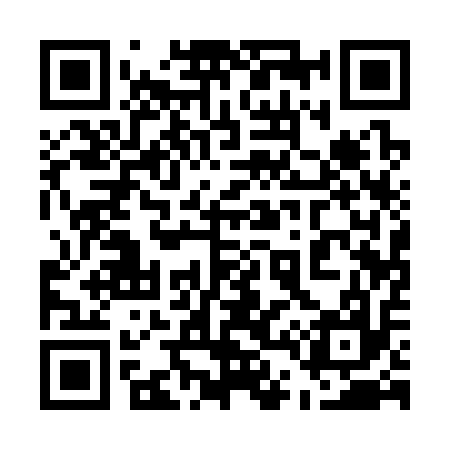 QR code for 541317