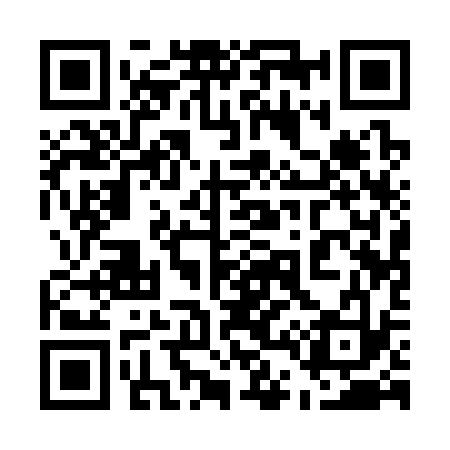 QR code for 541333