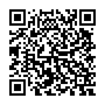 QR code for 541463