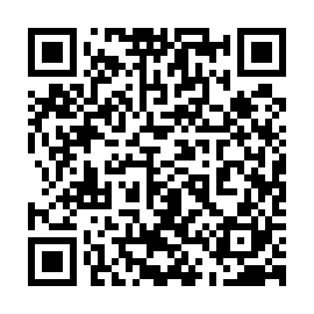 QR code for 541520