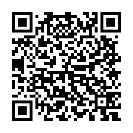 QR code for 541579