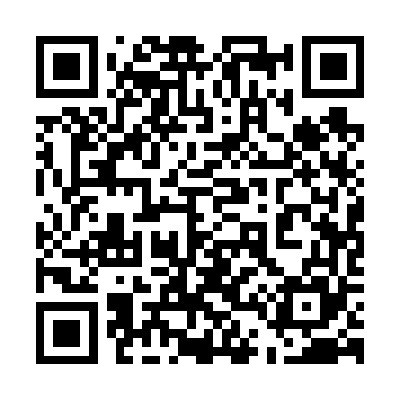 QR code for 541665