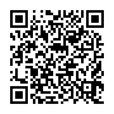 QR code for 541943