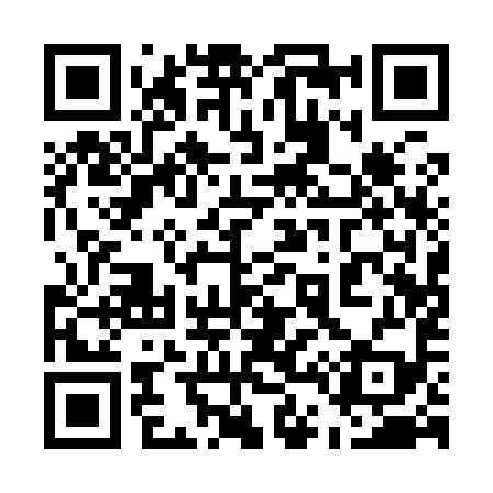QR code for 541999