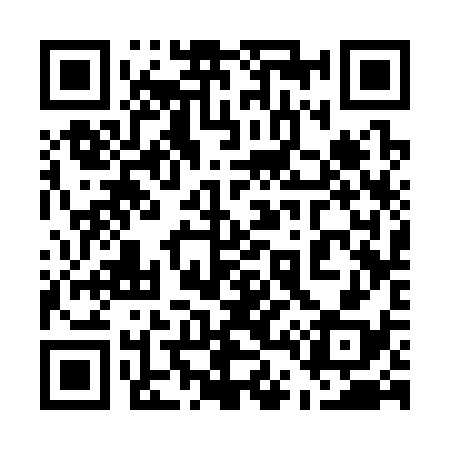 QR code for 543338