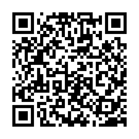 QR code for 546338