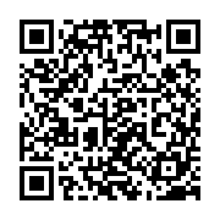 QR code for 549755