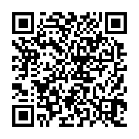 QR code for 550300