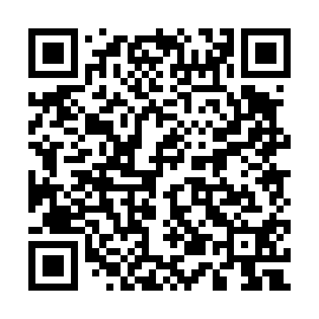 QR code for 550410