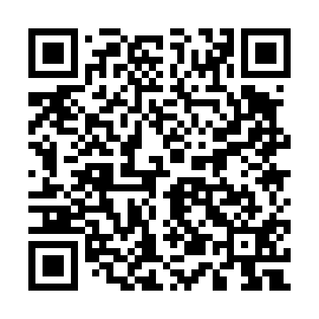 QR code for 551411