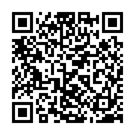 QR code for 563333