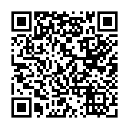QR code for 573333