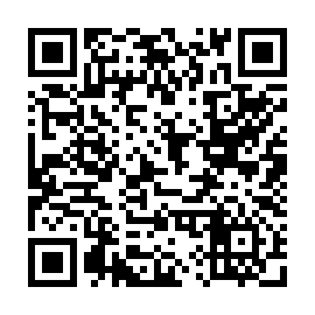 QR code for 593296