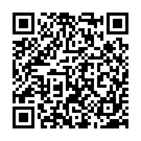 QR code for 593317