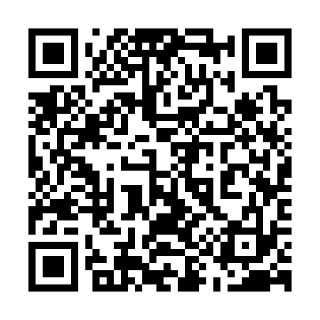 QR code for 593333