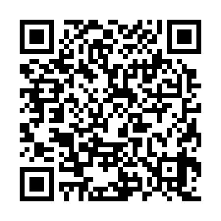 QR code for 593339