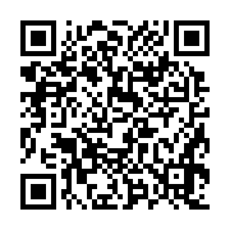QR code for 593376
