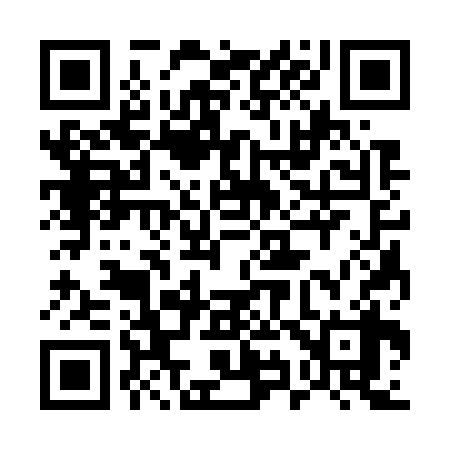 QR code for 593738