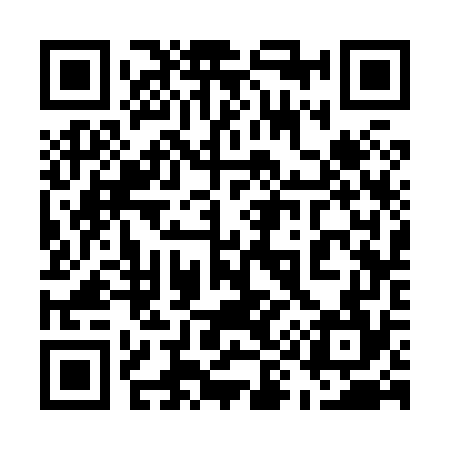 QR code for 593874