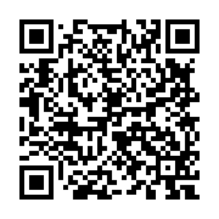 QR code for 593893