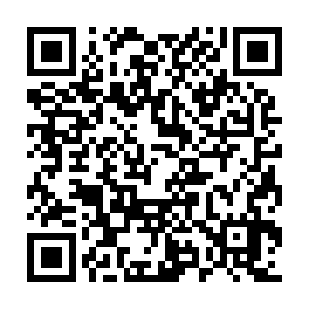 QR code for 593937