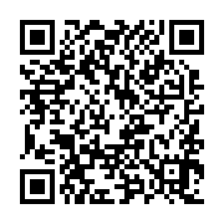 QR code for 594295