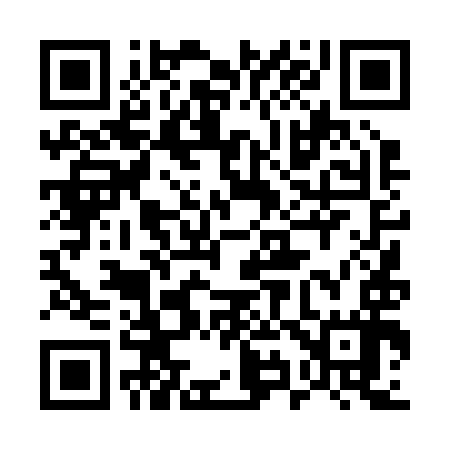 QR code for 594297
