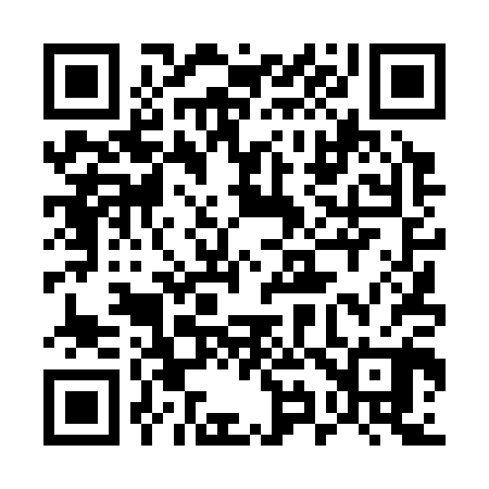 QR code for 594300