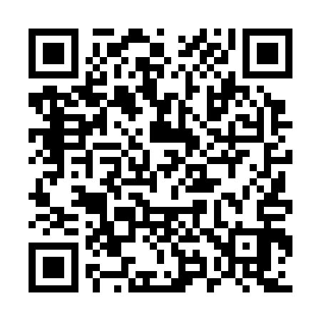 QR code for 594313