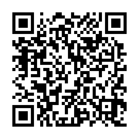 QR code for 594333