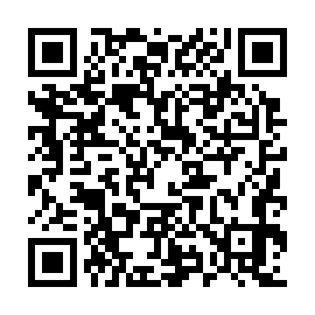 QR code for 594373