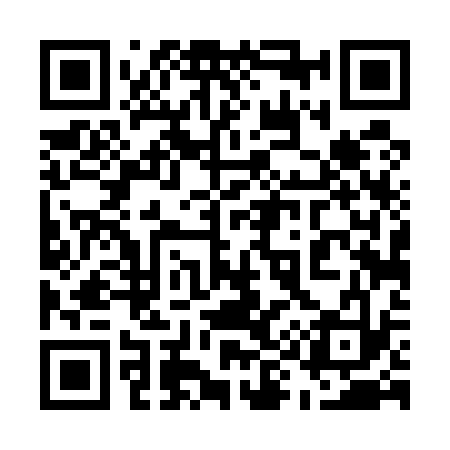 QR code for 594533