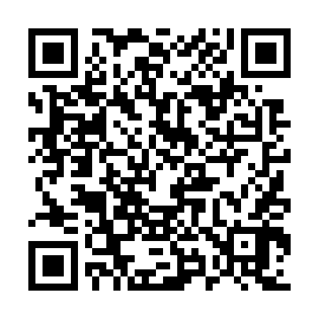 QR code for 594742