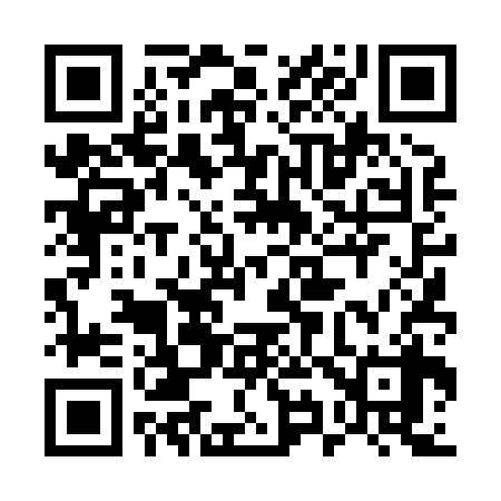 QR code for 594838