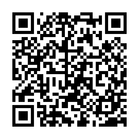 QR code for 595007