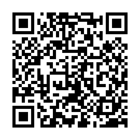 QR code for 595020