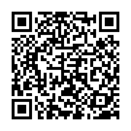 QR code for 595209