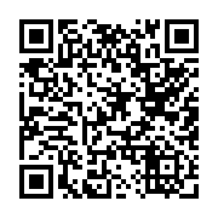 QR code for 595219