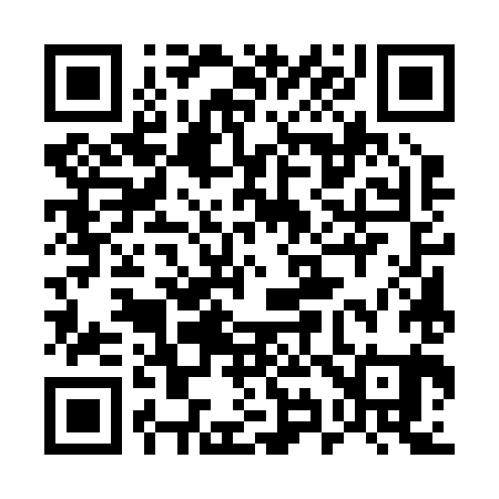 QR code for 595281