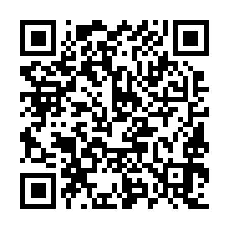QR code for 595293