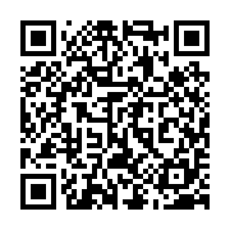 QR code for 595295