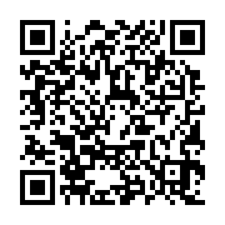 QR code for 595333