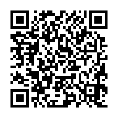 QR code for 595370