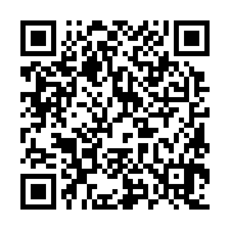 QR code for 595384