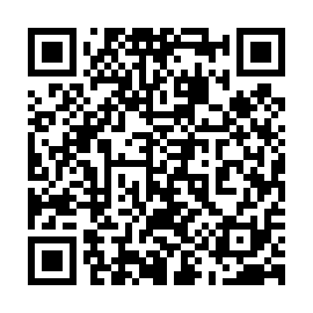 QR code for 595411