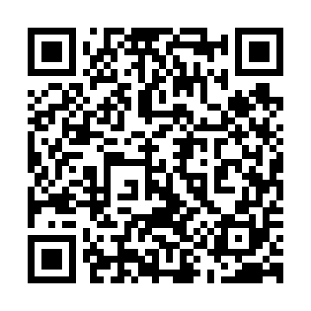 QR code for 595650