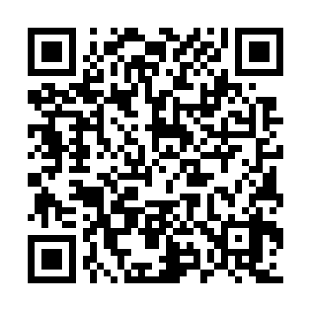 QR code for 595738