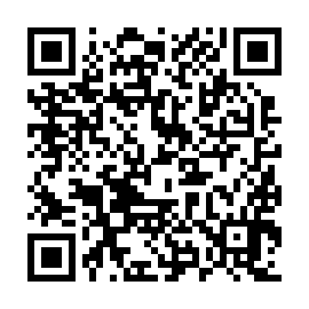 QR code for 596294