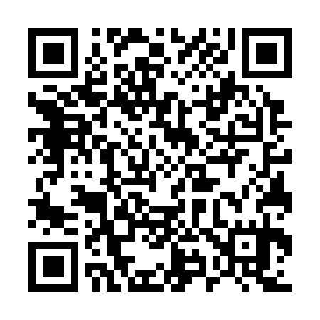 QR code for 597335
