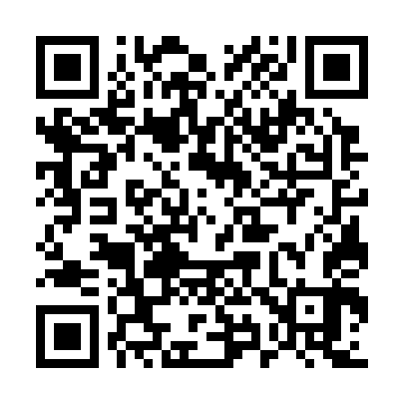 QR code for 597343